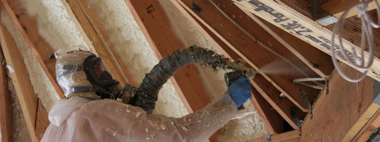 Boise Idaho Attic Insulation Spray Foam